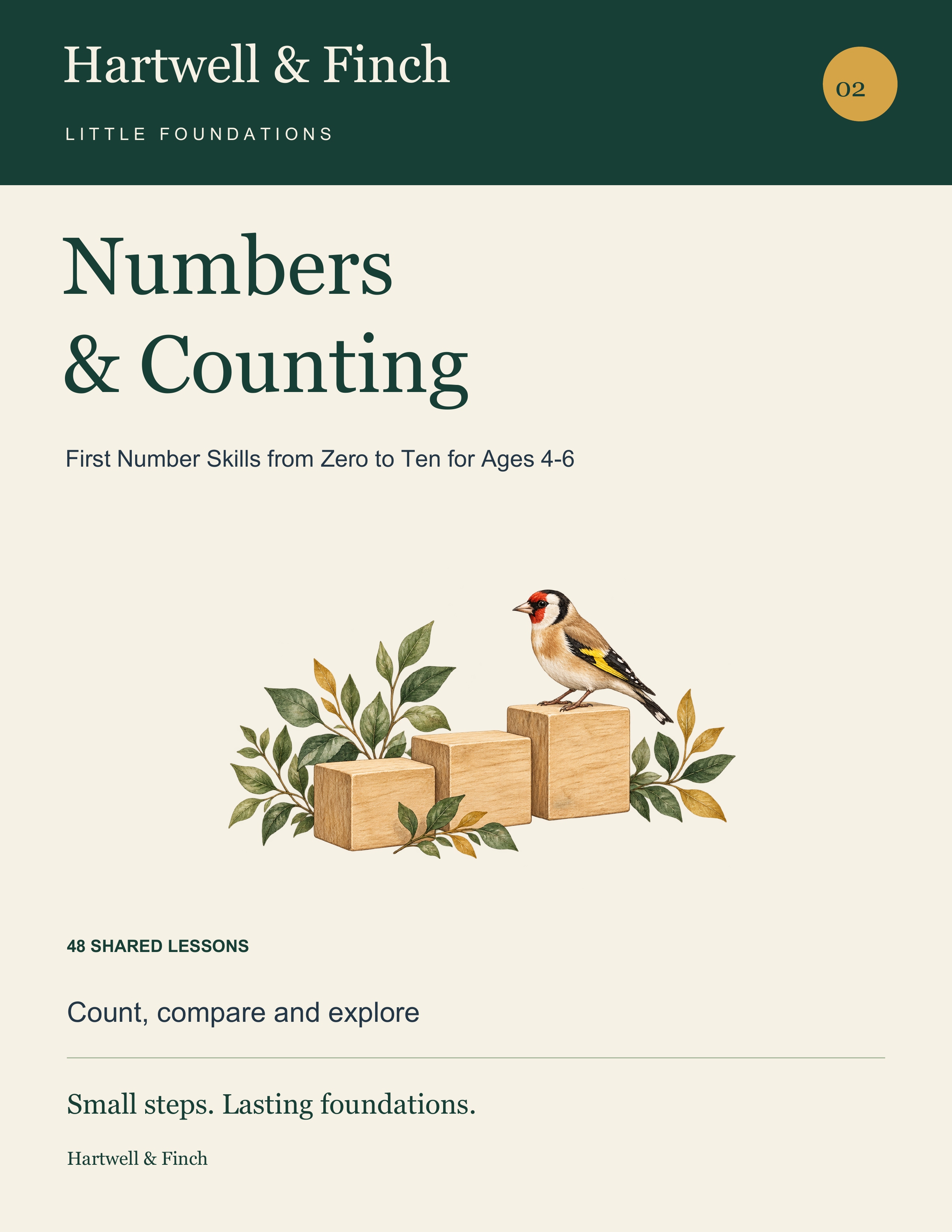 Numbers and Counting book cover