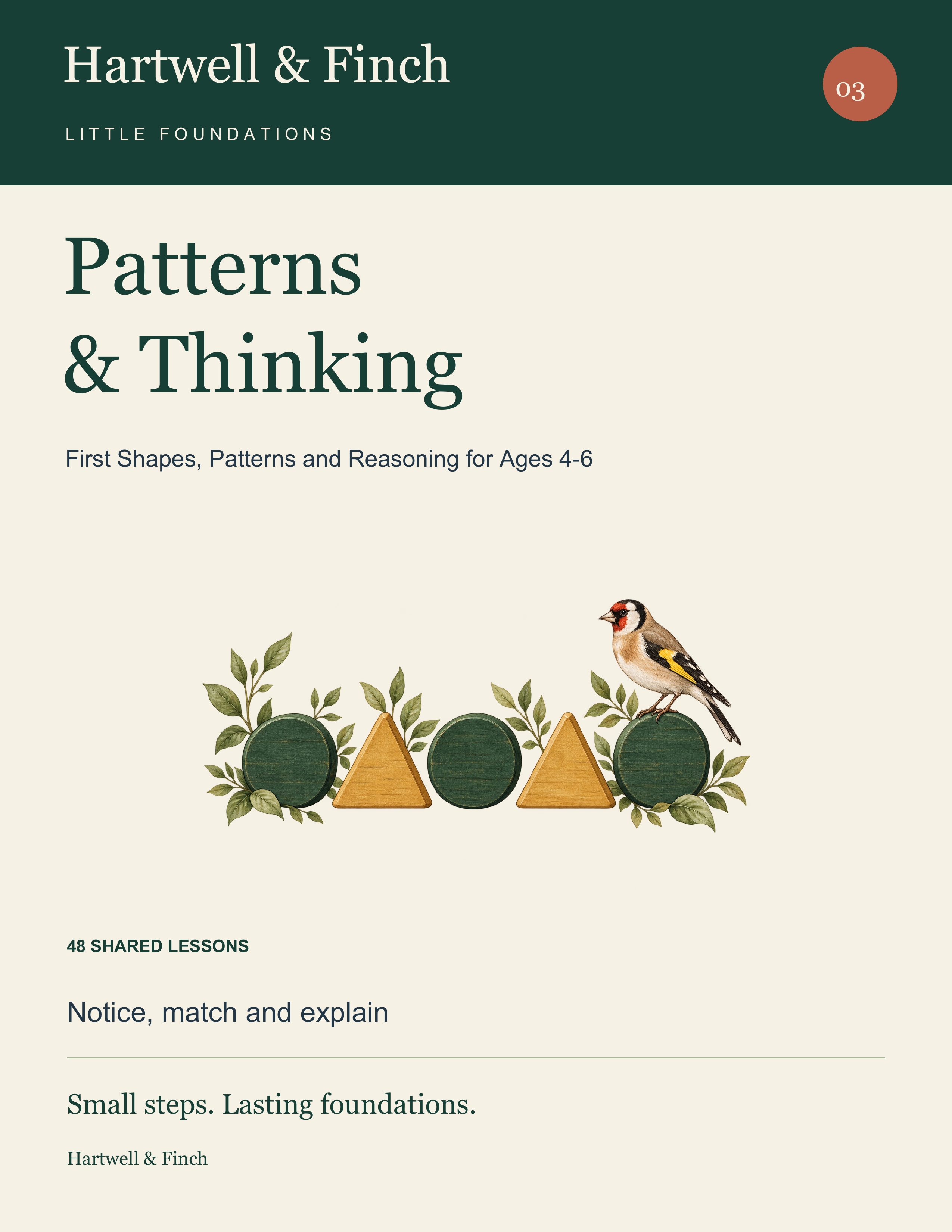 Patterns and Thinking book cover